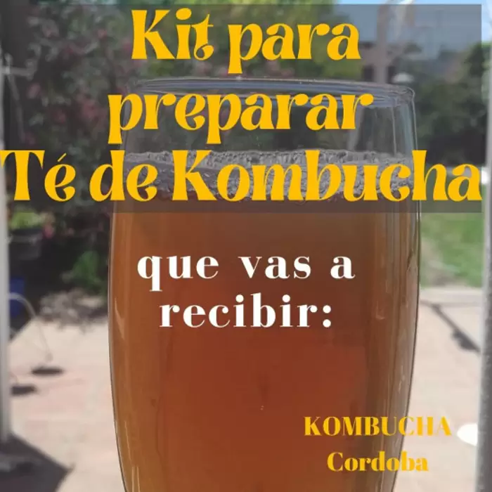 $ 1 Kit de kombucha, córdoba capital